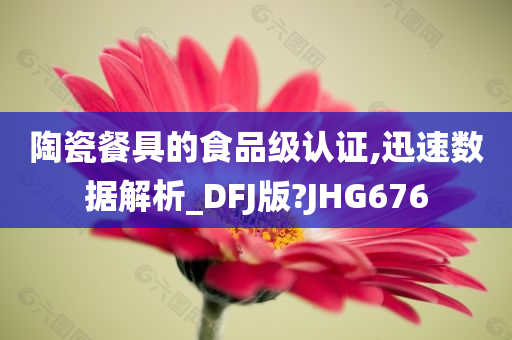 陶瓷餐具的食品级认证,迅速数据解析_DFJ版?JHG676