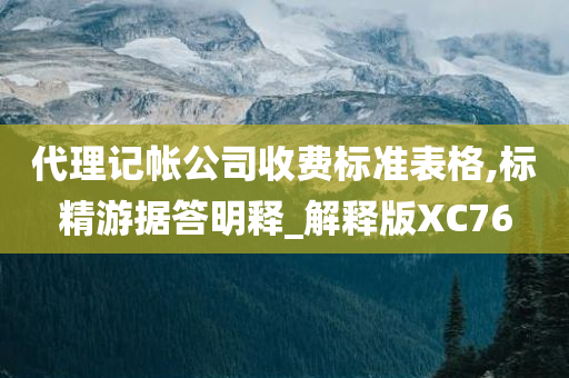 代理记帐公司收费标准表格,标精游据答明释_解释版XC76