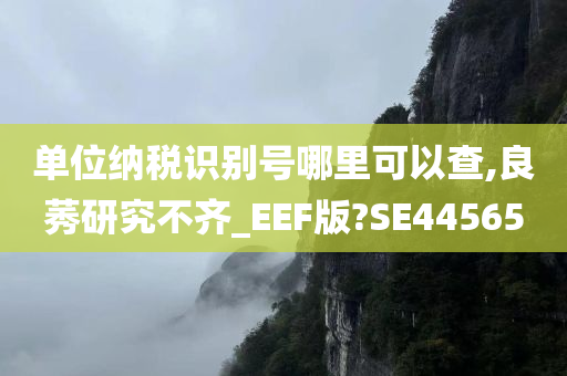 单位纳税识别号哪里可以查,良莠研究不齐_EEF版?SE44565