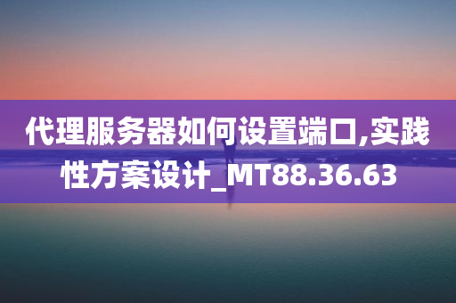 代理服务器如何设置端口,实践性方案设计_MT88.36.63