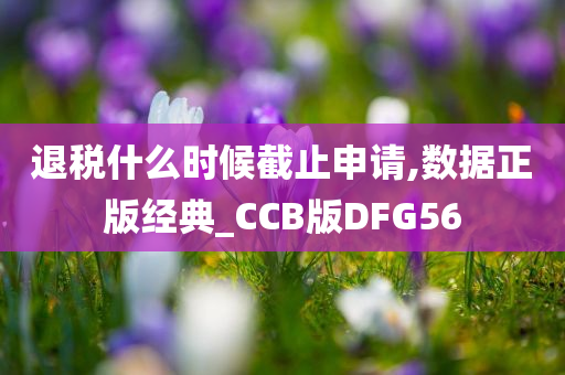 退税什么时候截止申请,数据正版经典_CCB版DFG56