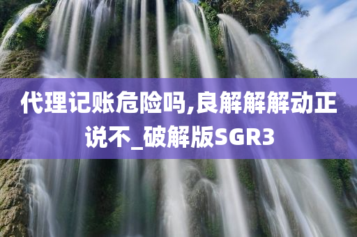 代理记账危险吗,良解解解动正说不_破解版SGR3