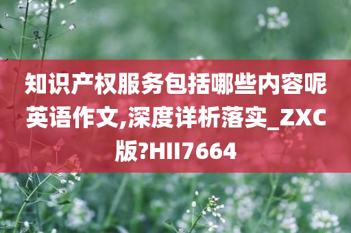 知识产权服务包括哪些内容呢英语作文,深度详析落实_ZXC版?HII7664