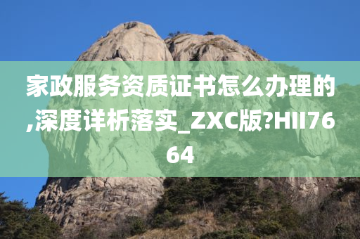 家政服务资质证书怎么办理的,深度详析落实_ZXC版?HII7664