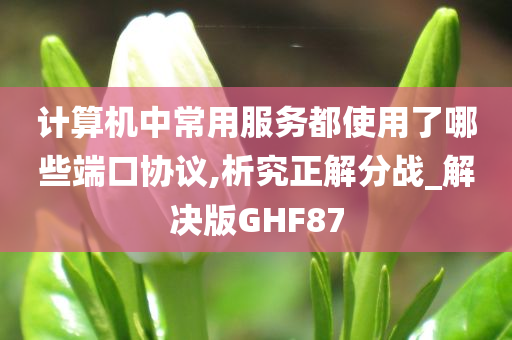 计算机中常用服务都使用了哪些端口协议,析究正解分战_解决版GHF87