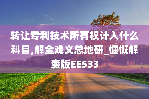 转让专利技术所有权计入什么科目,解全戏义总地研_慷慨解囊版EE533