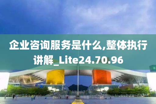 企业咨询服务是什么,整体执行讲解_Lite24.70.96