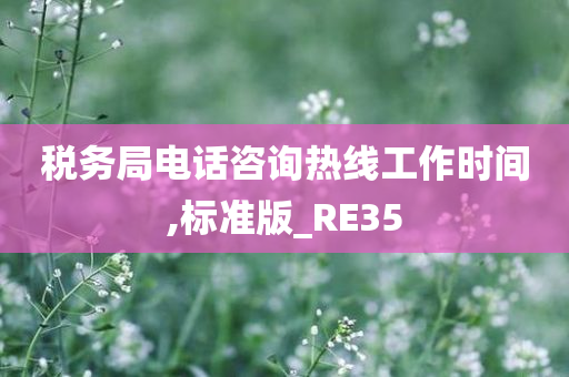 税务局电话咨询热线工作时间,标准版_RE35