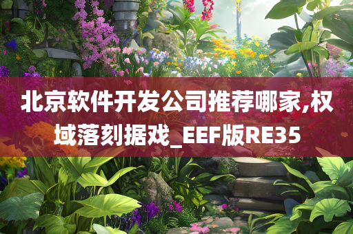 北京软件开发公司推荐哪家,权域落刻据戏_EEF版RE35