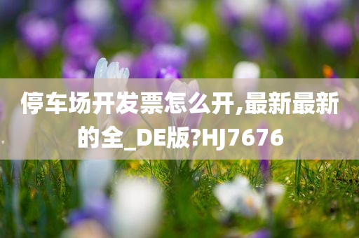 停车场开发票怎么开,最新最新的全_DE版?HJ7676