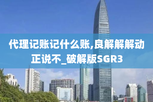 代理记账记什么账,良解解解动正说不_破解版SGR3