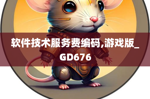 软件技术服务费编码,游戏版_GD676