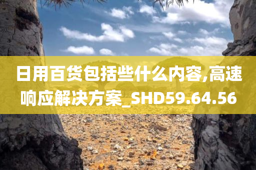 日用百货包括些什么内容,高速响应解决方案_SHD59.64.56