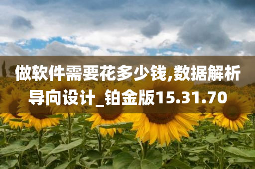 做软件需要花多少钱,数据解析导向设计_铂金版15.31.70