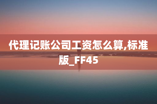 代理记账公司工资怎么算,标准版_FF45