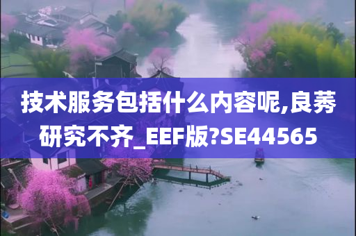 技术服务包括什么内容呢,良莠研究不齐_EEF版?SE44565