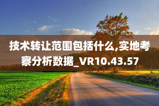 技术转让范围包括什么,实地考察分析数据_VR10.43.57