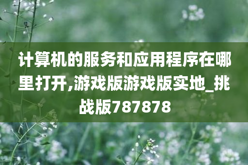 计算机的服务和应用程序在哪里打开,游戏版游戏版实地_挑战版787878