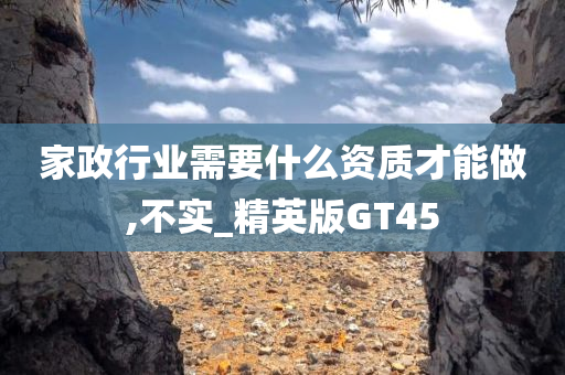 家政行业需要什么资质才能做,不实_精英版GT45