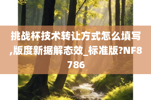 挑战杯技术转让方式怎么填写,版度新据解态效_标准版?NF8786