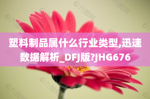 塑料制品属什么行业类型,迅速数据解析_DFJ版?JHG676