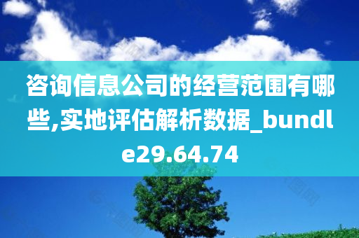 咨询信息公司的经营范围有哪些,实地评估解析数据_bundle29.64.74