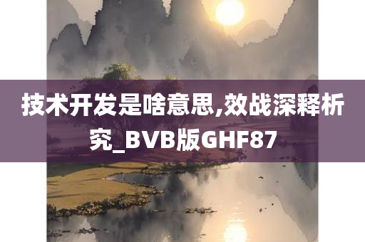 技术开发是啥意思,效战深释析究_BVB版GHF87