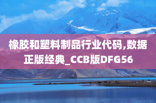 橡胶和塑料制品行业代码,数据正版经典_CCB版DFG56