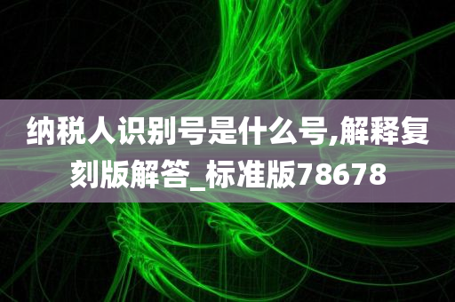 纳税人识别号是什么号,解释复刻版解答_标准版78678