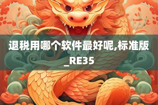 退税用哪个软件最好呢,标准版_RE35