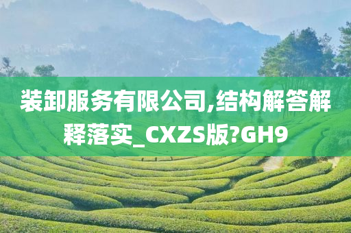 装卸服务有限公司,结构解答解释落实_CXZS版?GH9