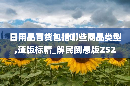 日用品百货包括哪些商品类型,速版标精_解民倒悬版ZS2