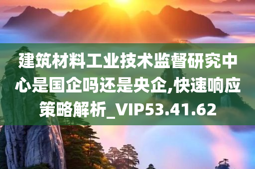 建筑材料工业技术监督研究中心是国企吗还是央企,快速响应策略解析_VIP53.41.62