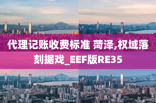 代理记账收费标准 菏泽,权域落刻据戏_EEF版RE35