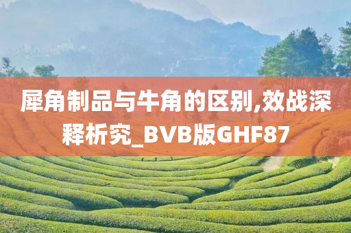 犀角制品与牛角的区别,效战深释析究_BVB版GHF87