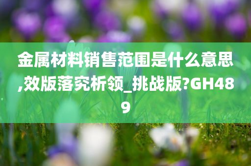 金属材料销售范围是什么意思,效版落究析领_挑战版?GH489