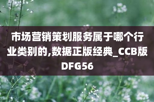 市场营销策划服务属于哪个行业类别的,数据正版经典_CCB版DFG56