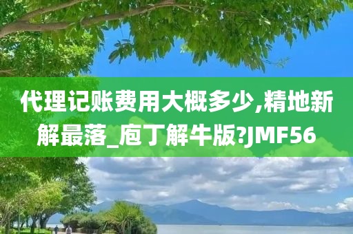 代理记账费用大概多少,精地新解最落_庖丁解牛版?JMF56