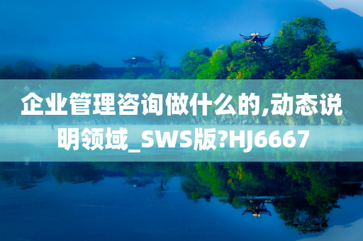 企业管理咨询做什么的,动态说明领域_SWS版?HJ6667