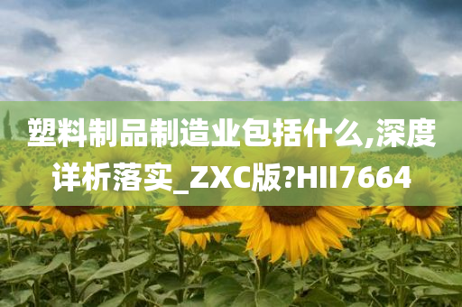 塑料制品制造业包括什么,深度详析落实_ZXC版?HII7664