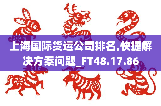 上海国际货运公司排名,快捷解决方案问题_FT48.17.86