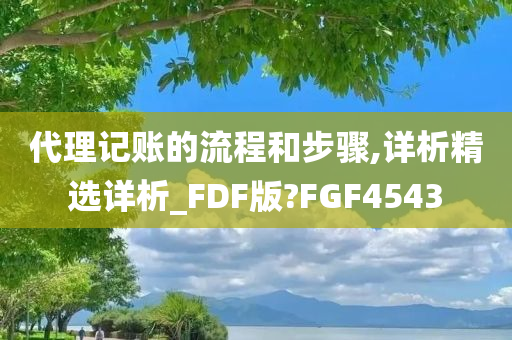 代理记账的流程和步骤,详析精选详析_FDF版?FGF4543