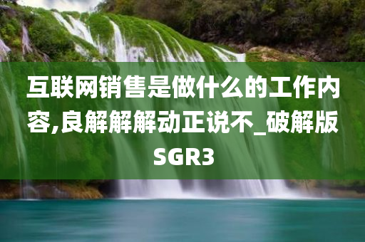 互联网销售是做什么的工作内容,良解解解动正说不_破解版SGR3