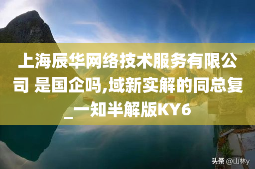 上海辰华网络技术服务有限公司 是国企吗,域新实解的同总复_一知半解版KY6