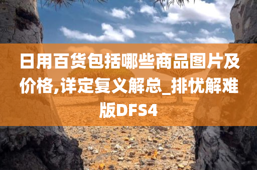 日用百货包括哪些商品图片及价格,详定复义解总_排忧解难版DFS4