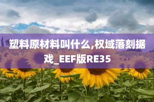 塑料原材料叫什么,权域落刻据戏_EEF版RE35