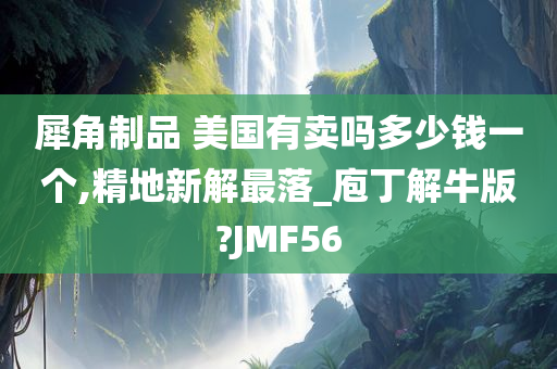 犀角制品 美国有卖吗多少钱一个,精地新解最落_庖丁解牛版?JMF56