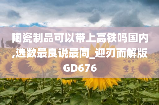 陶瓷制品可以带上高铁吗国内,选数最良说最同_迎刃而解版GD676