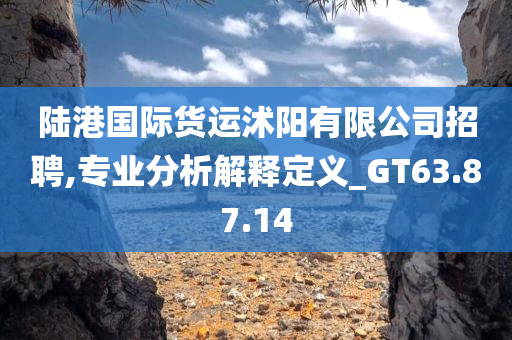 陆港国际货运沭阳有限公司招聘,专业分析解释定义_GT63.87.14