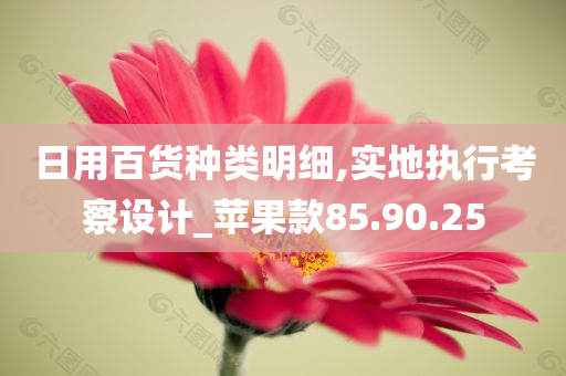 日用百货种类明细,实地执行考察设计_苹果款85.90.25